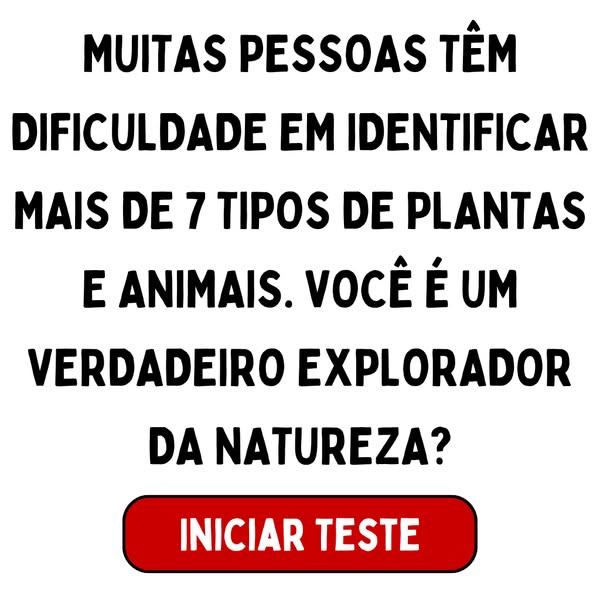 🧫 O Que Você Lembra de Biologia Escolar?
