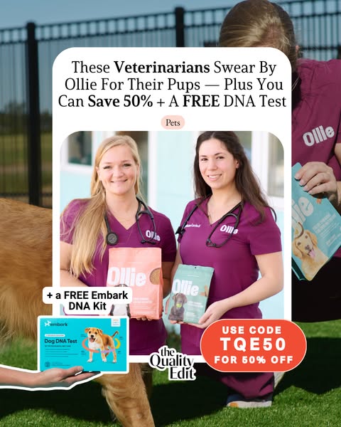 Ollie: Healthier, Human-Grade Dog Food Delivery