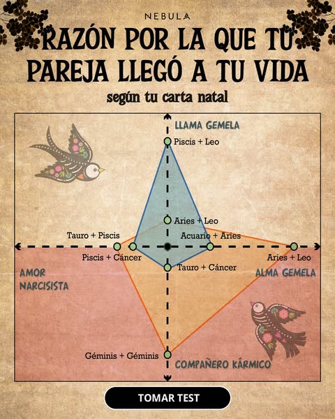 Las Especificidades de tu Signo Zodiacal ⭐✨
