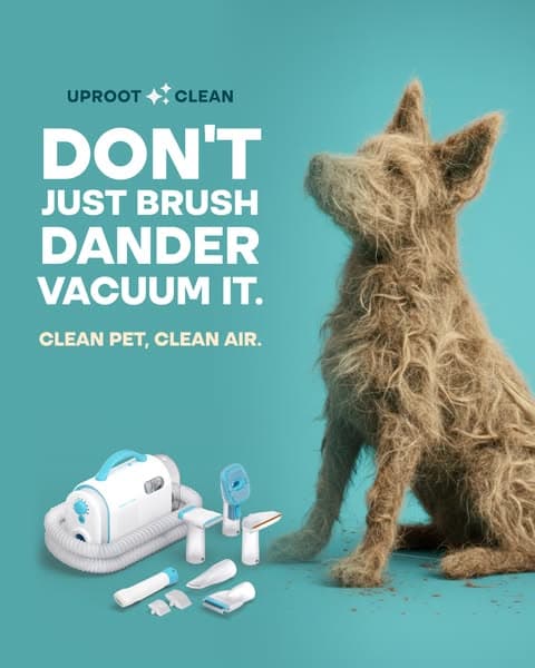 Struggling with Pet hair? Not for long!