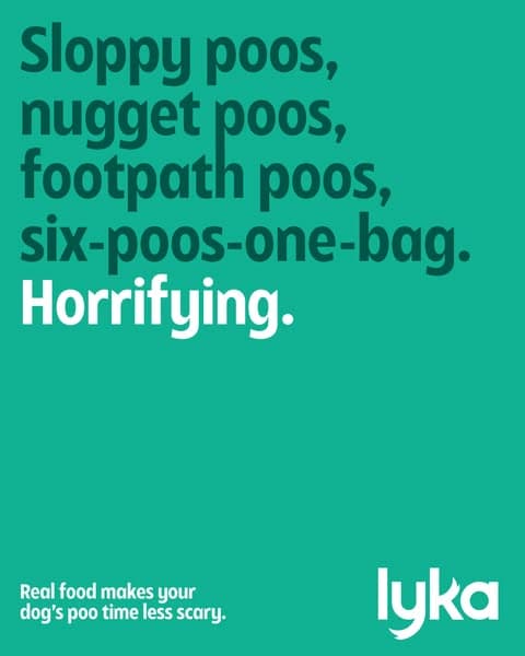 Lyka Pet Food