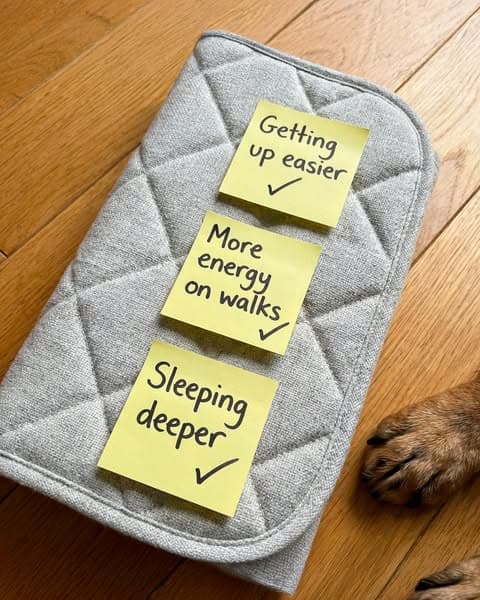 Why Pets Love This Mat