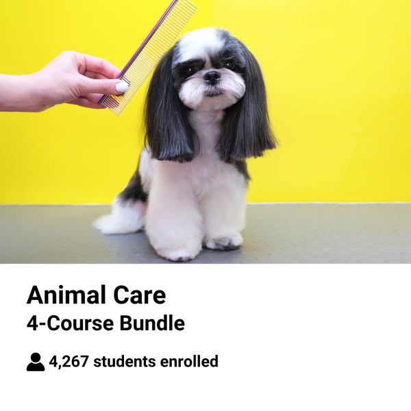 Animal Care Online Course 👉 NOW £50