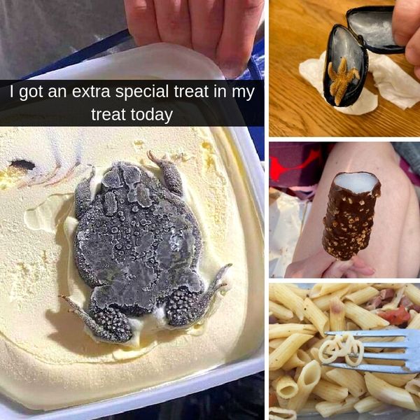 35+ Unexpected Surprises Found In Meals