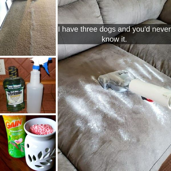 35+ Easy Hacks That Made Our Home Smell Amazing