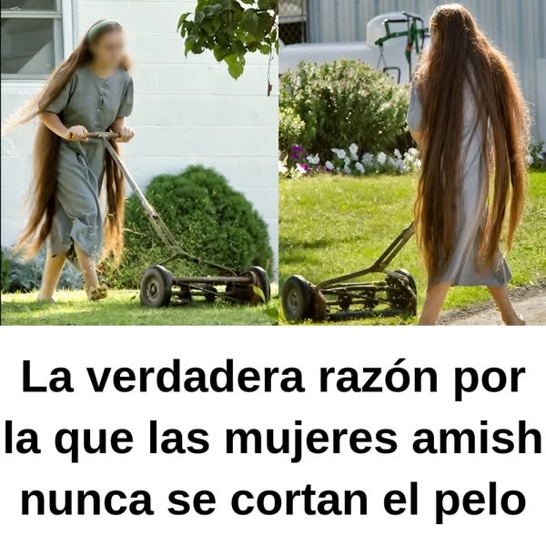 32+ Datos poco sabidos sobre los Amish