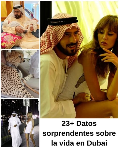 23+ Datos sobre la vida cotidiana en Dubai que podrían sorprender a la gente