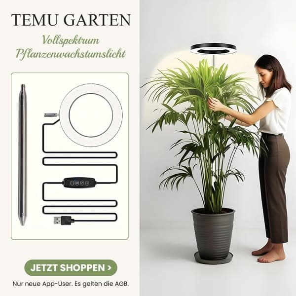 Temu | Explore the Latest Clothing, Beauty, Home, Jewelry & More