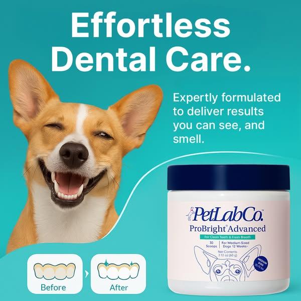 Keep their teeth clean WITHOUT a toothbrush!