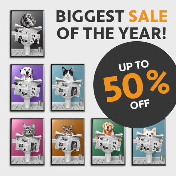 SALE OF THE YEAR 🔥