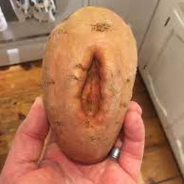 Men Get Medicine Women Get Menopause