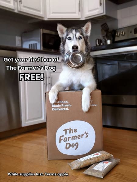 100% OFF your first box!