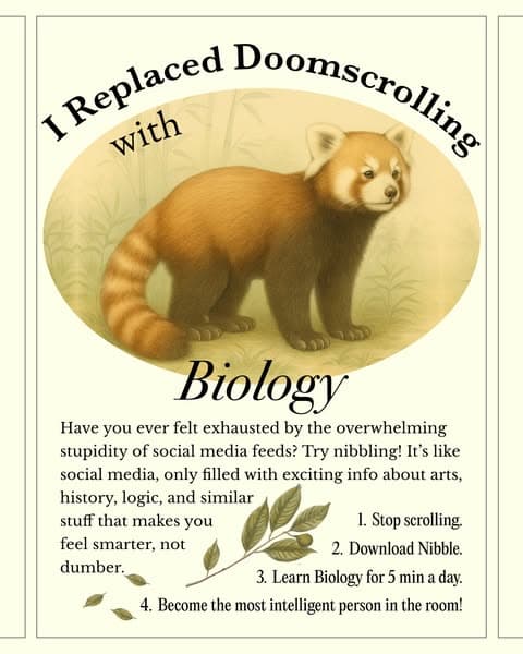 🔬 Biology, but Bite-Sized!