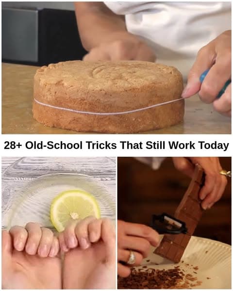 Grandma’s Best-Kept Secrets for Everyday Life