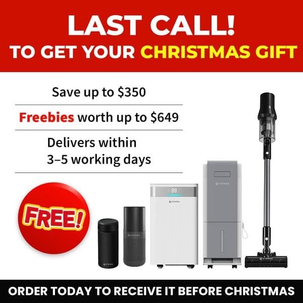 Last Call for Christmas Delivery 🎄🚨