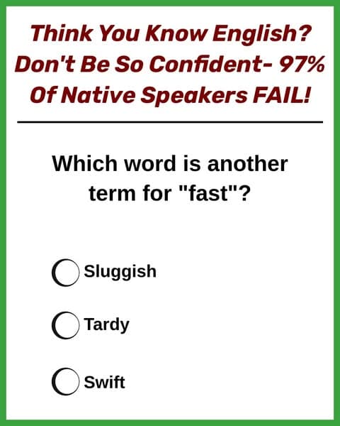 Try The Elementary School Vocab Quiz 🚗