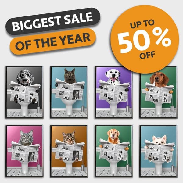 SALE OF THE YEAR 🔥