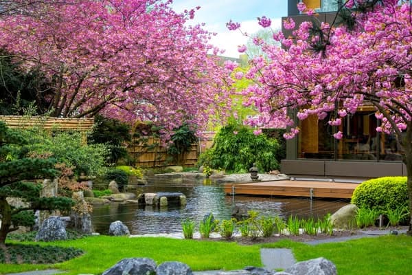 Experience the world the Okura way