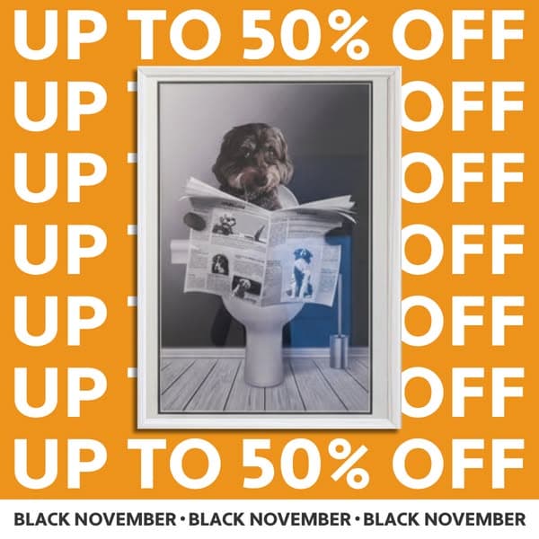 SALE OF THE YEAR 🔥