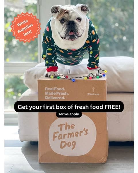 100% OFF your first box!