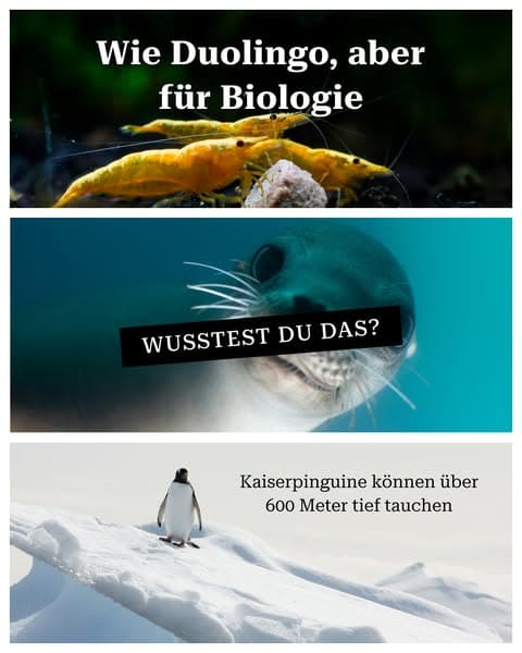 🔬 Biologie – aber in kleinen Häppchen!