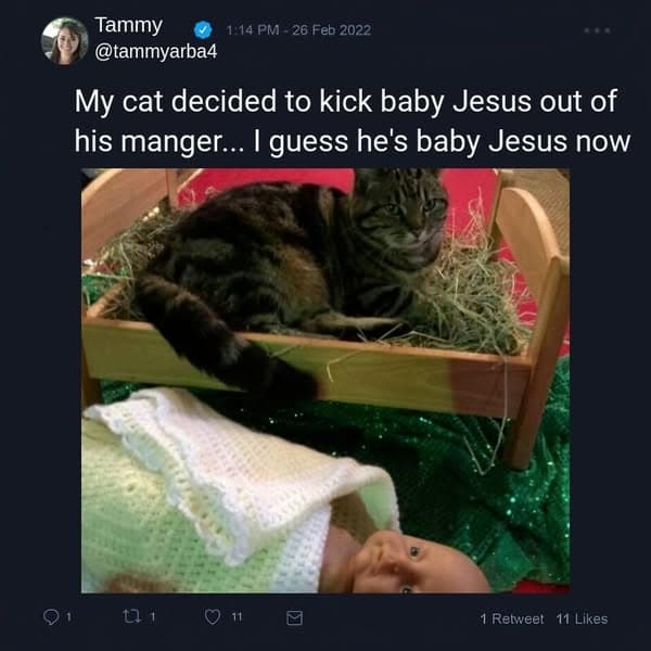 35+ Grinchy Pets Who Earned A Spot On The Naughty List