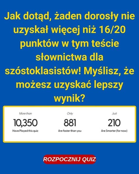 Większość dorosłych oblewa ten quiz ze słownictwa z 6 klasy - czy uda ci się trafić choć raz?
