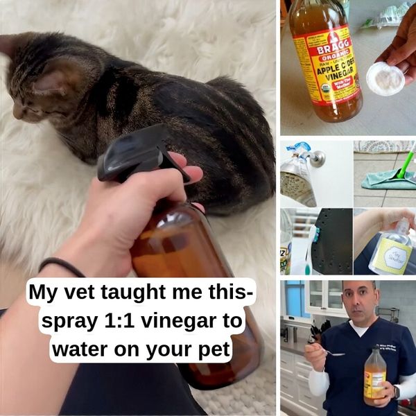 We Wish We Knew These Vinegar Hacks Sooner