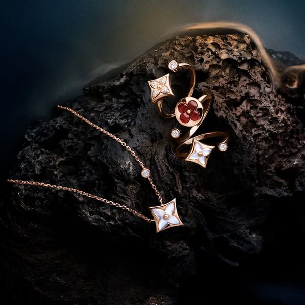 Le Voyage des Lumières