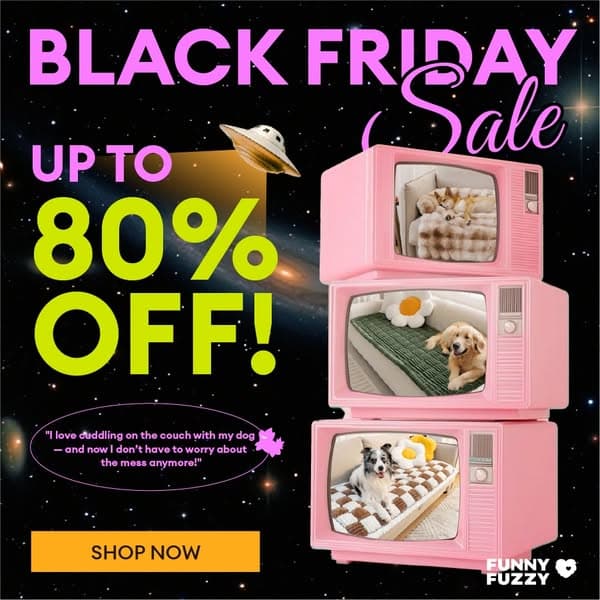 Biggest Sale of the Year: Save on Pet Beds, Sofa Covers & More