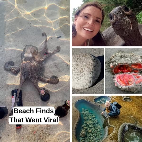 35+ Strange Beach Finds We Haven't Seen Before