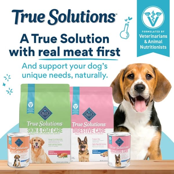 Support Your Dog’s Needs