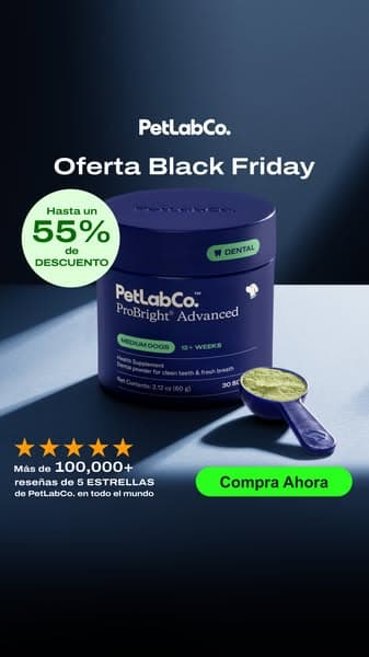 ⚫55% DE DESCUENTO + Envío Gratis – ¡Venta de Black Friday de ProBright Advanced de PetLabCo! ⚫