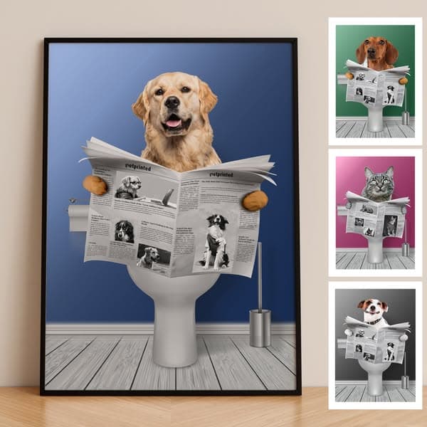 SALE OF THE YEAR 🔥