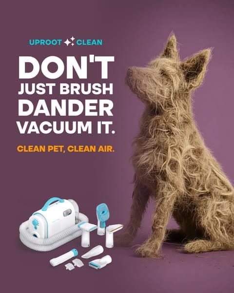 Struggling with Pet hair? Not for long!