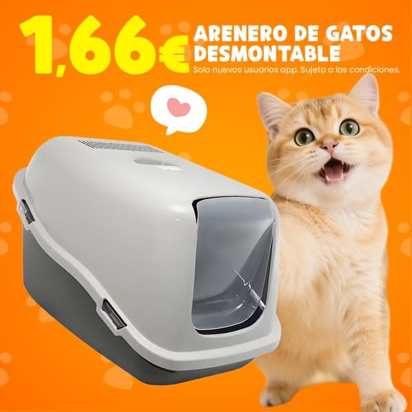 Descubre las mejores ofertas