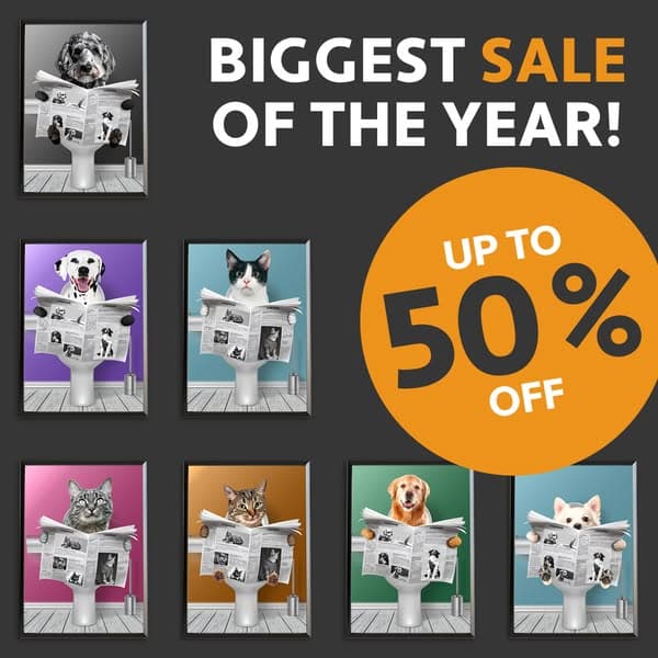 SALE OF THE YEAR 🔥