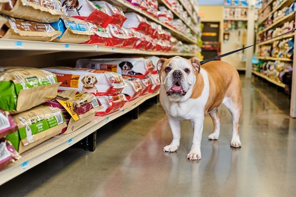 Shop Top Pet Brands at Tractor Supply