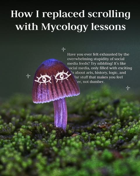 🔬 Biology, but Bite-Sized!