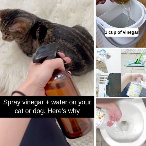 35+ Brilliant Vinegar Hacks Everyone Should Know