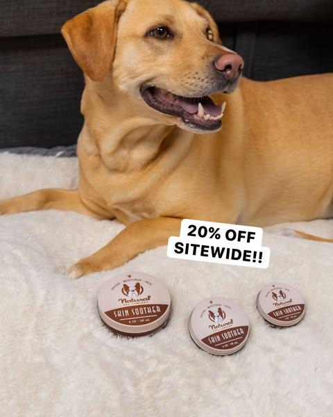 4th of July Sale! Get 20% OFF Sitewide!