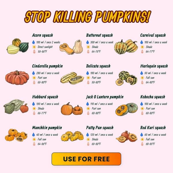 Take a Quiz Now! 🌱