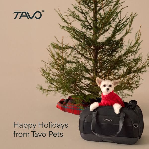 Gift Your Pet a Premium Pet Car Seat