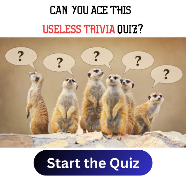 Start The Quiz >>