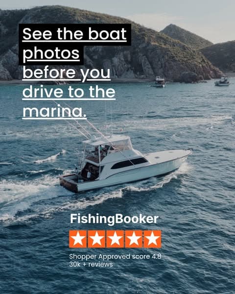 No Surprises at the Dock