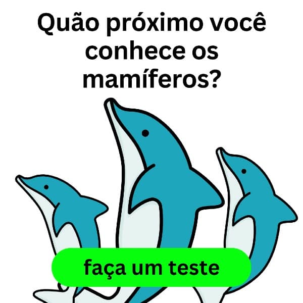 Faça o teste >>