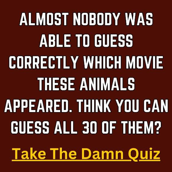 Take The Quiz >>