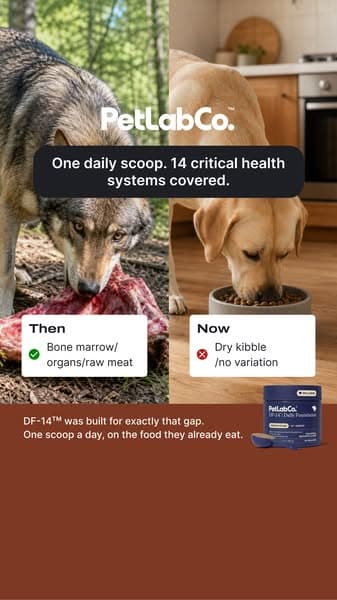 1 scoop a day. 14 critical health systems covered.