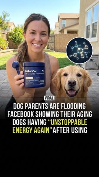 One scoop replaced my dog's whole supplement shelf