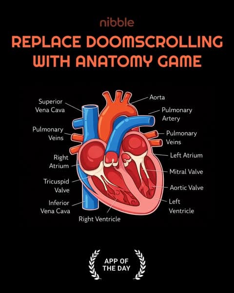 π¬ Biology, but Bite-Sized!